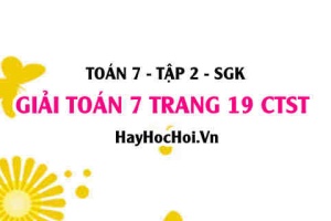 Giải Toán 7 trang 19 tập 2 Chân trời sáng tạo SGK